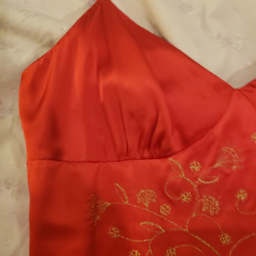 Beautiful Red Silk Dress - image 5